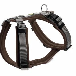 Neuheit HUNTER Geschirr Maldon Up 37-53 / XS-S braun/grau